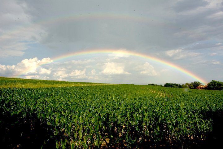 20180620_Regenbogen_BK.jpg