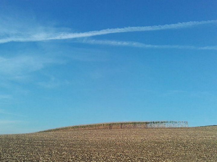 20180812_164300_Herbst_DD.jpg