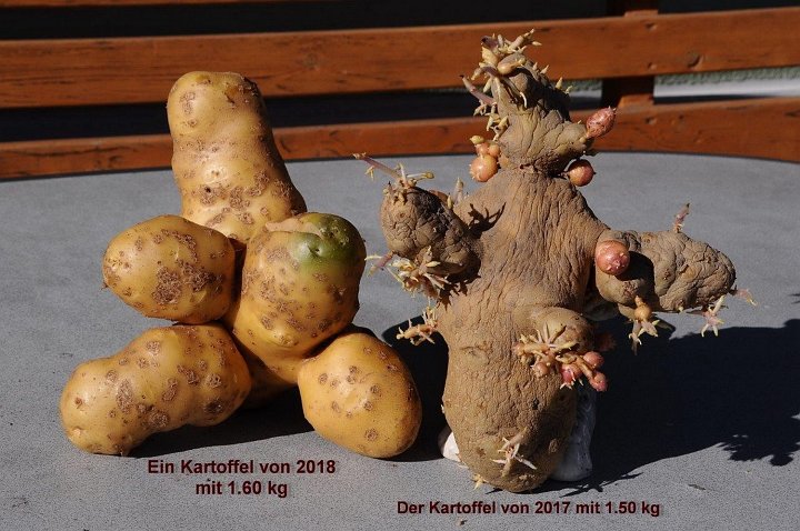 20180912_210343_01_Herbst_LP.jpg