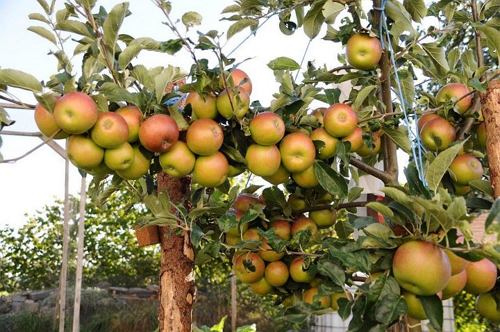 20180912_210343_02_Herbst_LP.jpg