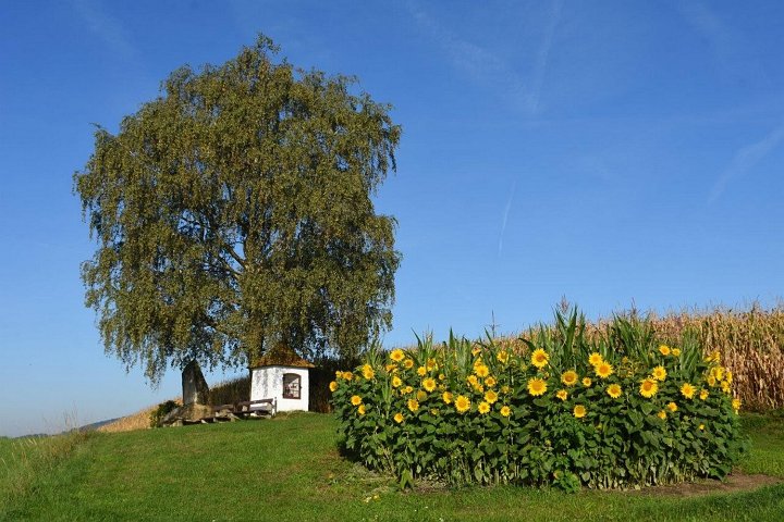 20180912_210457_03_Herbst_LP.jpg