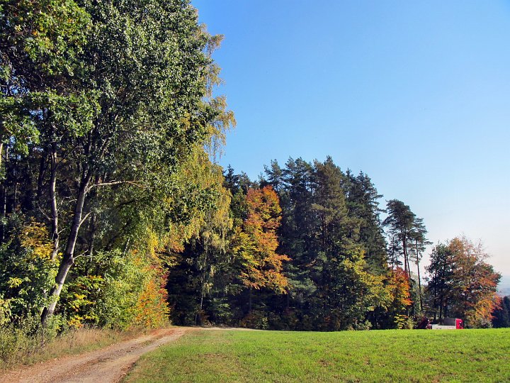 20181013_121325_Herbst_HG.JPG