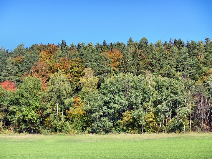 20181013_124443_Herbst_HG.JPG