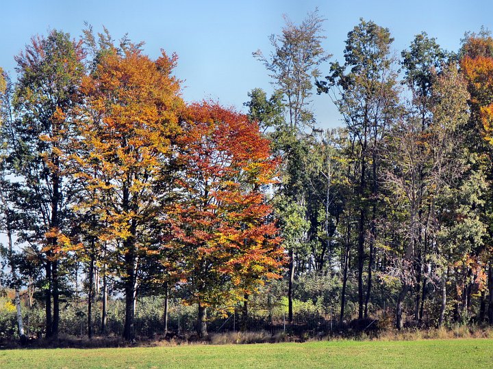 20181013_125926_Herbst_HG.JPG