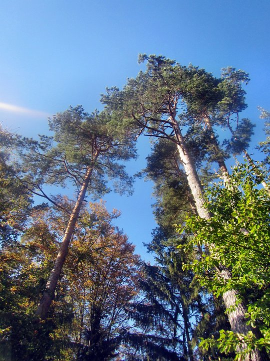 20181013_143200_Herbst_HG.JPG