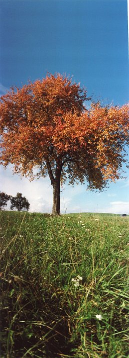 20181016_084556_01_Herbst_DD.jpg