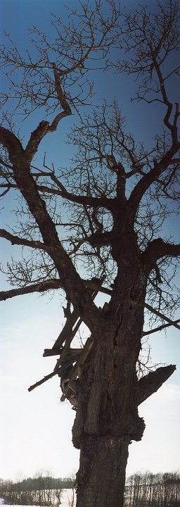 20181016_084556_02_Herbst_DD.jpg