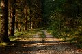 20180823_190003_Herbst_BK