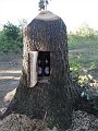 20180907_211251_Baum