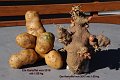 20180912_210343_01_Herbst_LP