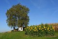 20180912_210457_03_Herbst_LP