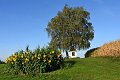 20180912_210457_05_Herbst_LP
