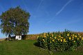 20180912_210457_06_Herbst_LP