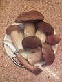 20180922_175500_Herbst_DD