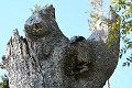 20180930_112046_Baum