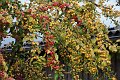 20181004_223403_01_Herbst_LP