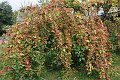 20181004_223403_Herbst_LP