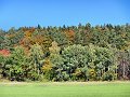 20181013_124443_Herbst_HG