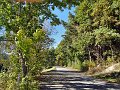 20181013_124725_Herbst_HG