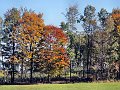 20181013_125926_Herbst_HG