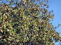 20181013_130502_Herbst_HG