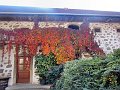 20181013_134731_Herbst_HG