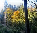 20181013_142414_Herbst_HG