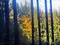 20181013_142532_Herbst_HG