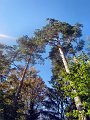20181013_143200_Herbst_HG