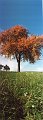20181016_084556_01_Herbst_DD