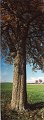 20181016_084556_Herbst_DD