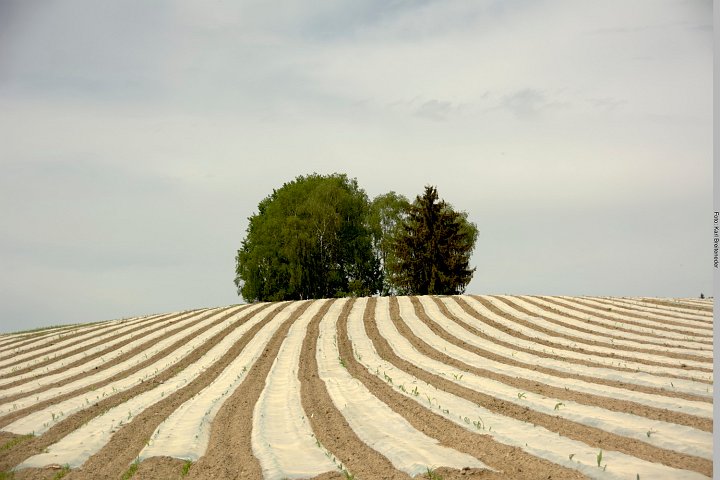 20180502_130144_Muehlenwanderweg.jpg