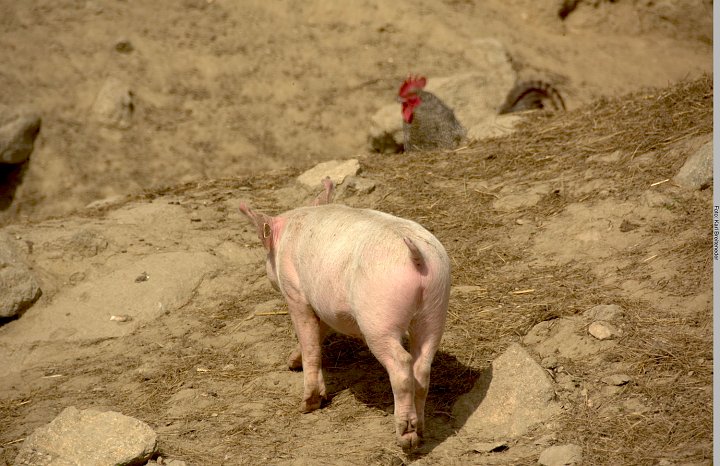20180502_151143_Muehlenwanderweg.jpg