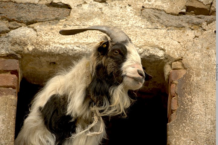 20180502_151441_Muehlenwanderweg.jpg