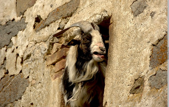 20180502_151450_Muehlenwanderweg.jpg