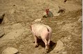 20180502_151143_Muehlenwanderweg
