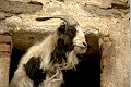 20180502_151441_Muehlenwanderweg