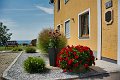 20190825_Hofroas_010