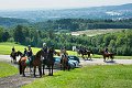 20190825_Hofroas_012