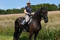 20190825_Hofroas_016