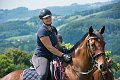 20190825_Hofroas_017