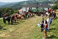 20190825_Hofroas_018