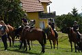 20190825_Hofroas_019