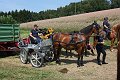 20190825_Hofroas_025
