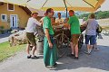 20190825_Hofroas_035