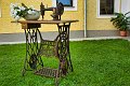 20190825_Hofroas_043