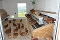 20190825_Hofroas_076