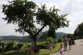 20190825_Hofroas_078