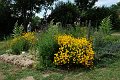 20190702_131120_LG_SchauAigenSch