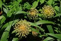 20190702_135006_LG_SchauAigenSch